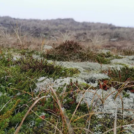 Casa de Férias Fjord View Retreat - By Traum